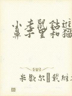 小老鼠钻进大象鼻子里和猫的故事