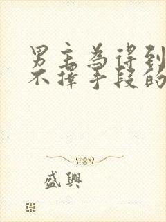 男主为得到女主不择手段的古言