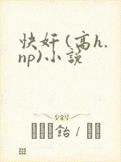 快奸 (高h.np)小说