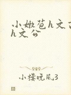 小嫩苞h文高辣h文公