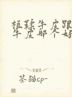 植鞣牛皮跟头层牛皮哪个好