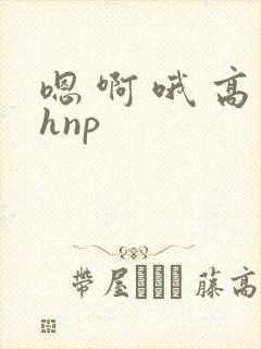 嗯 啊 哦 高hnp