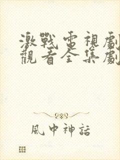 激战电视剧免费观看全集剧情28集封面