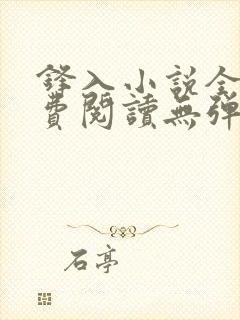 锋入小说全文免费阅读无弹窗