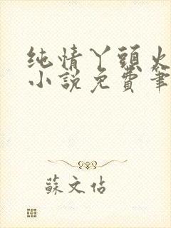 纯情丫头火辣辣小说免费笔趣阁