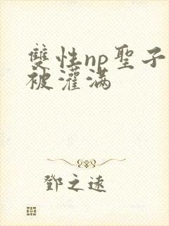 双性np圣子受被灌满