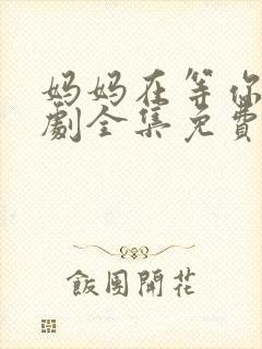 妈妈在等你电视剧全集免费看封面