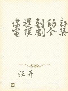 你迟到的许多年电视剧全集免费播放封面