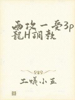 两攻一受3p双龙H调教