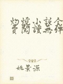 灼烧小说全文免费阅读无弹窗封面