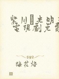 紫川·光明三杰 电视剧免费观看