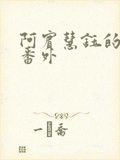 阿宾慧钰的小说番外