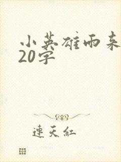 小英雄雨来梗概20字