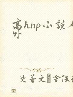 高hnp小说人外封面