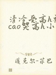 清冷受高h被强cao哭高h小说