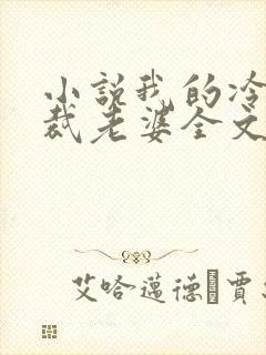 小说我的冷艳总裁老婆全文阅读