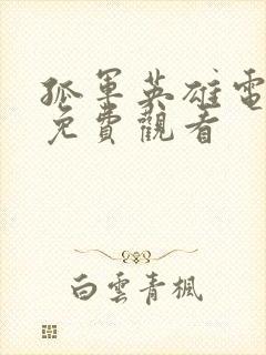 孤军英雄电视剧免费观看