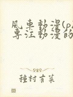 风车动漫(p)专注动漫的门户网站