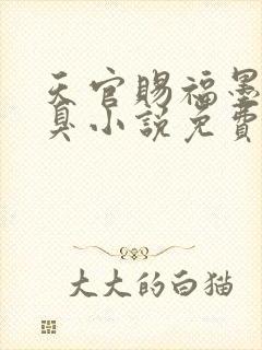 天官赐福墨香铜臭小说免费阅读下载