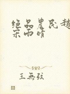 绝品农民赵小刚宋雨晴封面