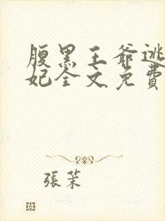 腹黑王爷逃跑王妃全文免费阅读