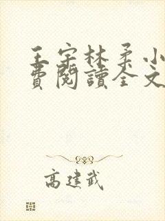 王宇林柔小说免费阅读全文最新章节