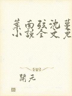 叶南弦沈蔓歌的小说全文免费阅读封面