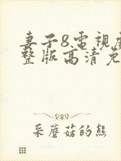 妻子8电视剧完整版高清免费