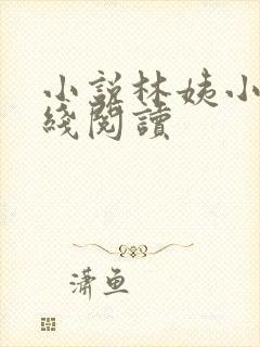 小说林姨小浩在线阅读
