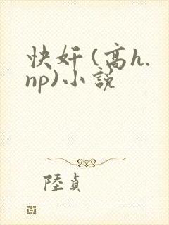 快奸 (高h.np)小说
