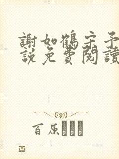 谢如鹤宋予朵小说免费阅读最新章节封面