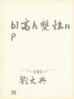 bl高h双性np封面