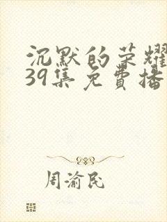 沉默的荣耀1—39集免费播放视频在线封面