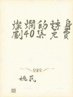 灿烂的转身电视剧40集免费观看高清