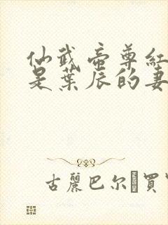 仙武帝尊红尘雪是叶辰的妻子吗