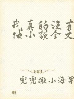 我真的没有引诱他小说全文免费阅读笔趣阁封面