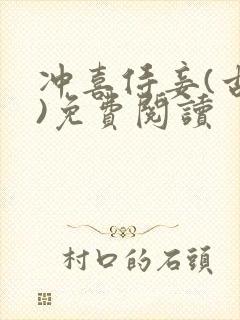 冲喜侍妾(古言)免费阅读封面