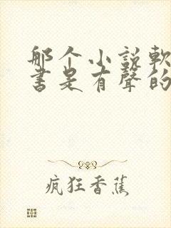 那个小说软件听书是有声的