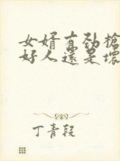 女婿有劲枪枪是好人还是坏人封面