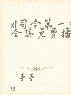 xl司令第一季全集免费播放在线观看