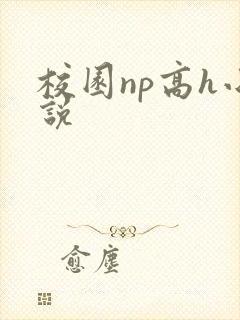 校园np高h小说封面