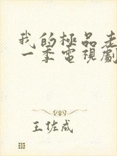 我的极品老婆第一季电视剧