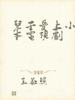 儿子爱上小妈日本电视剧