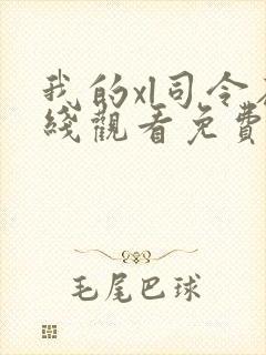 我的xl司令在线观看免费高清全集