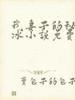 我妻子的秘密王冰小说免费阅读