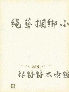 绳艺捆绑小说封面