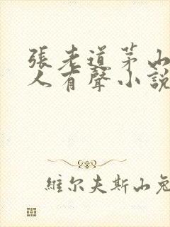 张老道茅山捉鬼人有声小说全集