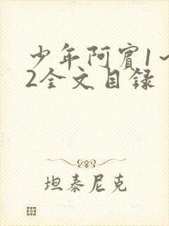 少年阿宾1～72全文目录