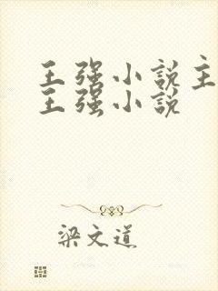 王强小说主人公王强小说封面