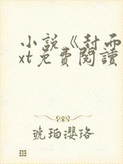 小说《封面》txt免费阅读